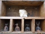 Animal heads by Tati Dennehy, Sculpture, Fired Clay